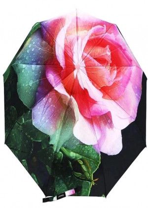 Umbrella #21013821