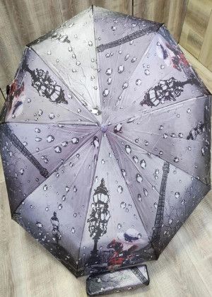Umbrella #21028512