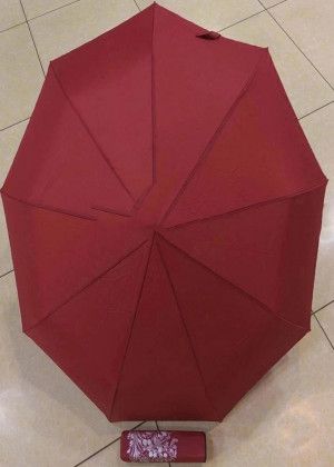 Umbrella #20933922